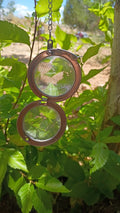 Loose Tea infuser